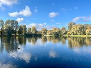 autumn trees reflection on the lake surface, blue lake reflection, golden autumn, lake in the park with quiet water as a mirror 