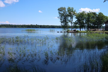 lake and trees