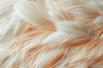 Fluffy white feathers overlap delicately, creating a dreamy and soothing visual symphony.