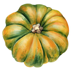 Colorful decorative pumpkin. Realistic autumn pumpkin, Botanical watercolor illustration for design, creative use