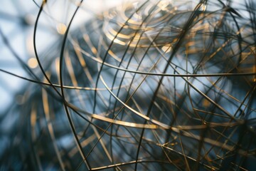 Soft golden light filters through a tangle of wire sculptures, creating captivating patterns of shadow and shine.