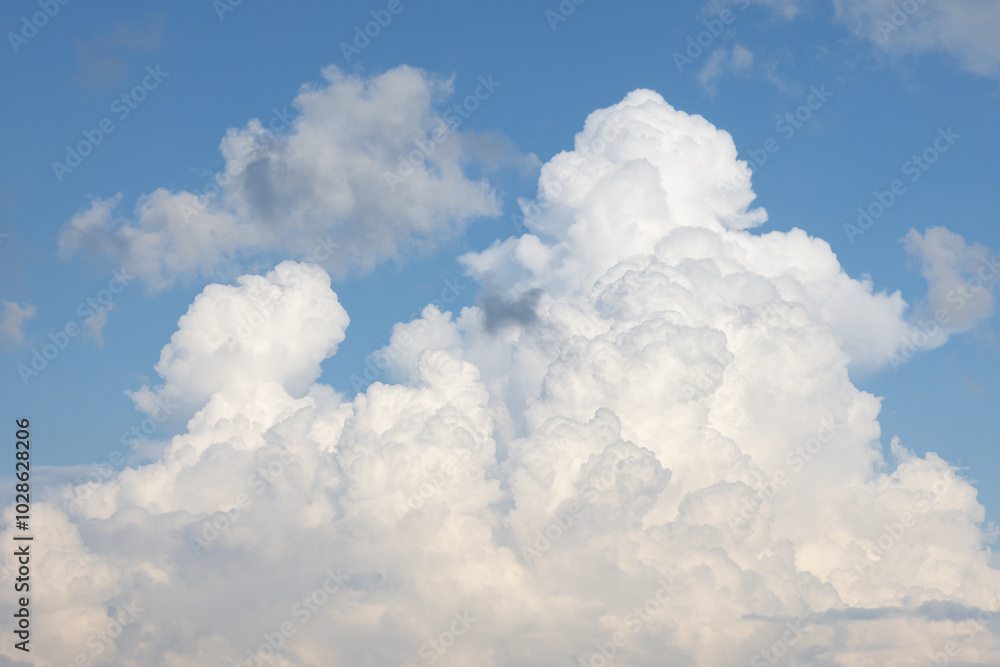 Wall mural the sky is filled with fluffy white clouds, creating a serene