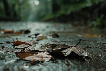 Dew-kissed leaves rest on a rain-soaked path, capturing a serene moment in nature's cycle.