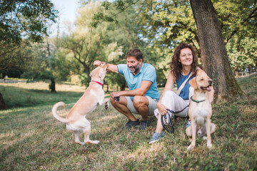 Playing with dogs in the park