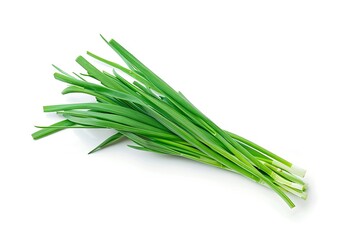 Chinese chive leaves on white background