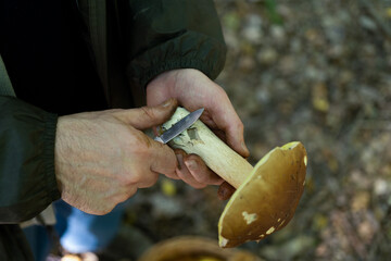 man holding mushroom in his hand and cleaning it