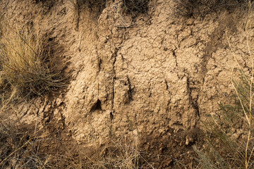 Close-up view of cracked, dry earth in an arid landscape. The image captures the rough, parched...