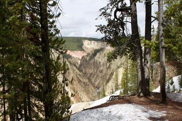 Yellowstone national park