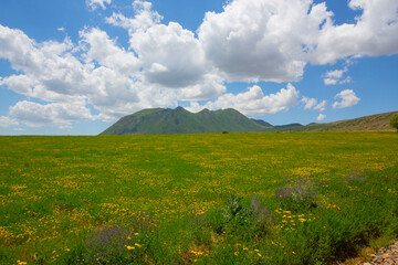 Mount Ararat and  road views