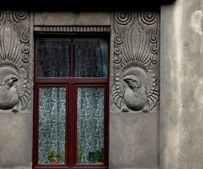 pájaros peculiares protegiendo la ventana