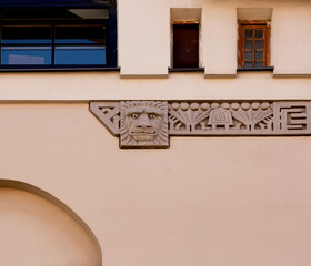 rostro felino entre motivos geométricos