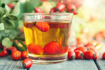 Herbal cup of rosehip tea, bunch of fresh rosehip berries, dog rose, canker-rose, briar on dark wooden background
