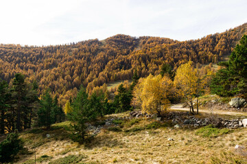 Autumn in the mountains