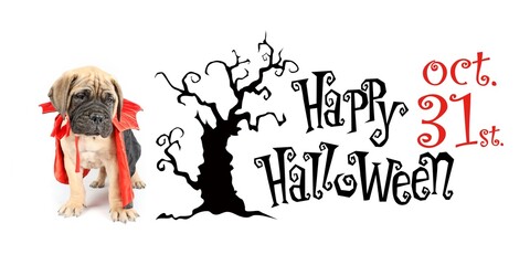 halloween banner with bullmastiff puppy in devil costume