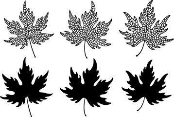 Isolated maple leaves set, veins leaf texture and silhouettes, vector clipart collection in black color, venation skeleton pattern design