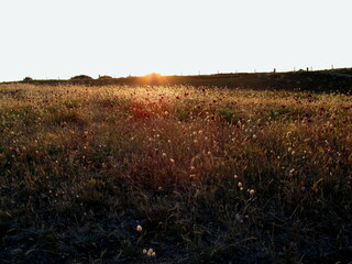 Coucher de soleil au Glenan