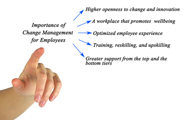 Importance of Change Management for Employees