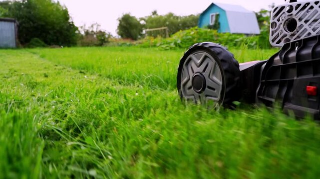 woman with a lawn mower in the garden mowing the lawn