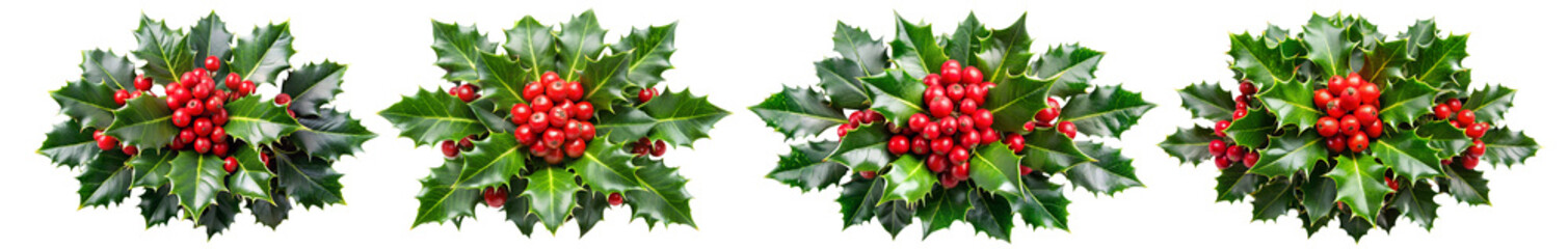 Obraz premium Festive Christmas Holly Plant Set with Red Berries ang green leaves Isolated on White Transparent Background, PNG Element. Ideal for festive designs and seasonal decorations.