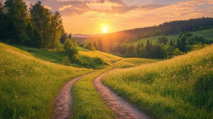 Small path in green field near forest on sunny day