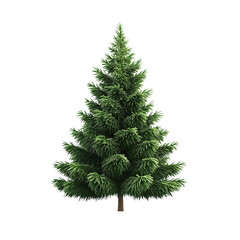 Obraz premium Lush Green Christmas Tree isolated on white or transparent background, png clipart, design element.