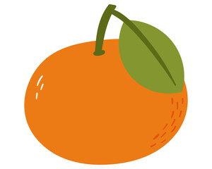 Fruit mandarin in cartoon hand drawn simple style. Editable variable color