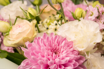 Bouquet of flowers with pink roses, chrysanthemum and freesia flower in a vase isolated on a white background.