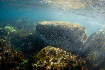 Big rocks underwater on the ocean bottom.