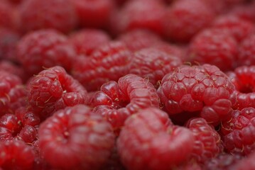 raspberry close up