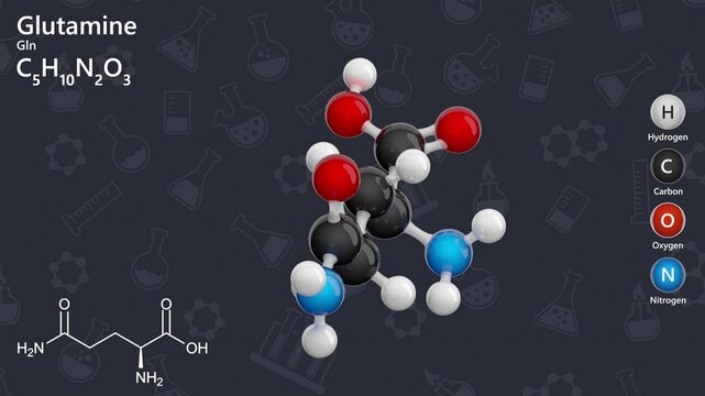 Molecule of Glutamine (C5H10N2O3) is an amino acid vital for protein synthesis and nitrogen transport. It plays a key role in cellular metabolism, immune function, and gut health. Dark back. 3d render
