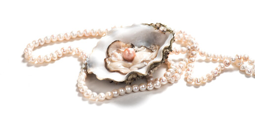 Pearls, One Natural pearl inside the oyster shell, close up, isolated on white background. Nacre. Pearl necklace. Mother-of-pearl. Jewellery. Wealth concept. 
