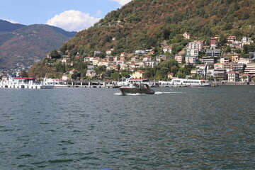 boats in the harbor