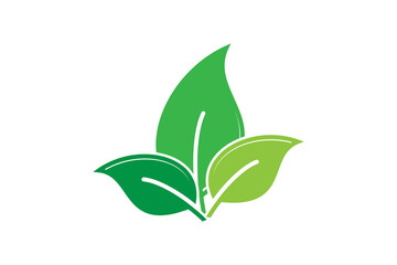 Leaf icon vector logo template flat style