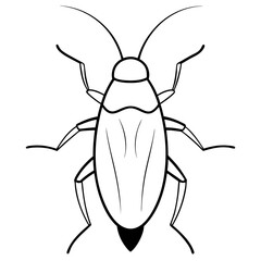 Cockroach-insect-vector-on-white-background
