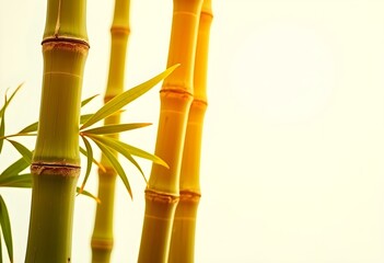 Fototapeta premium bamboo stalks standing tall, isolated on a bright white background, showcasing the vibrant green leaves and intricate textures of the bamboo create with ai