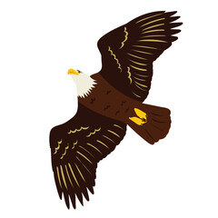 eagle flying in flat style, vector