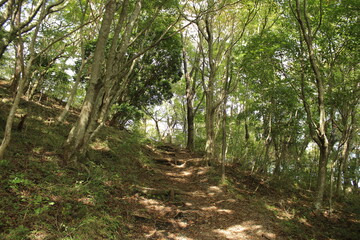 湯河原　ハイキング