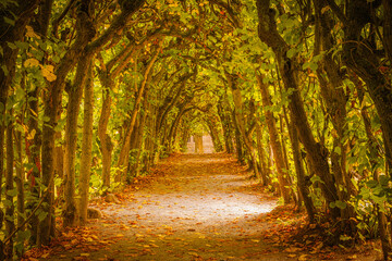 Herbsttunnel