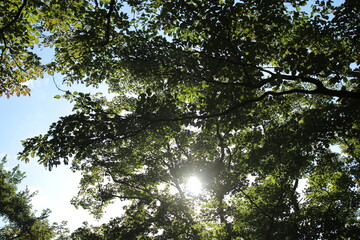 湯河原　ハイキング