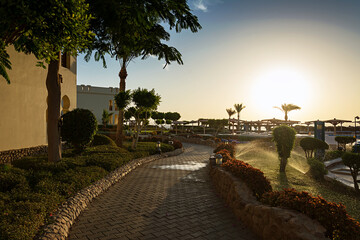 Sharm El Sheikh. Egypt. Beautiful sunset on the hotel grounds. Sunlight. Green grass.