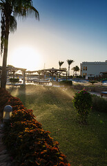 Sharm El Sheikh. Egypt. Beautiful sunset on the hotel grounds. Sunlight. Green grass.