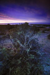 Coastal landscape in Peninsula Valdes at dusk, World Heritage Site, Patagonia Argentina
