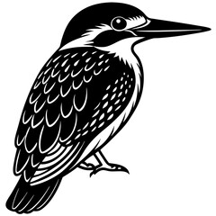 illustration of a kingfisher