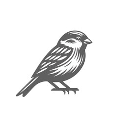 Fototapeta premium sparrow isolated vector illustration