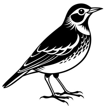 recommend clip art: lark. on a white background