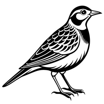 recommend clip art: lark. on a white background