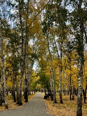 random pictures from Kazakhstan