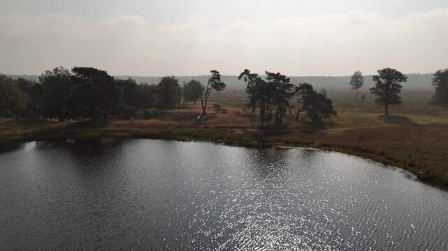 Serene Aerial View of Lake in Drents-Friese Wold Reserve