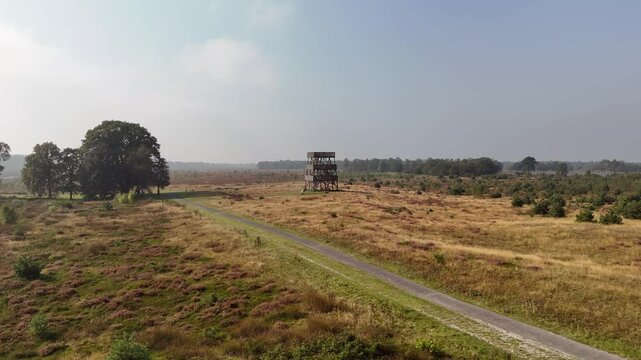 Watchtower Overlooking Forest in Drents-Friese Wold: Aerial View