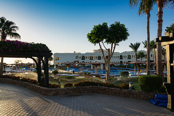Swimming pool with palm trees at morning,  Egypt
